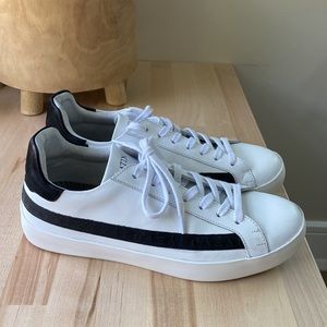 Sans Matin Tata Trainers